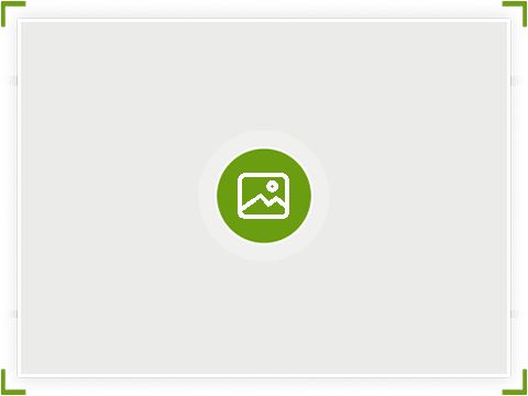 Gallery icon
